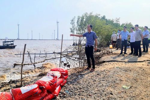 Bạc Liêu công bố tình huống khẩn cấp sự cố sạt lở đê biển Đông