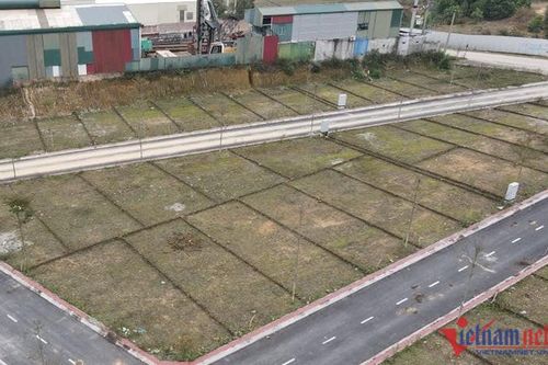 Đất nền ven Hà Nội tấp nập 'lên sàn' đấu giá, đất Đông Anh khởi điểm hơn 30 triệu/m2
