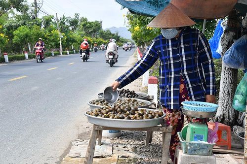 Đời ốc