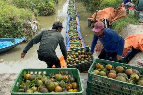Thêm 'chất xúc tác' để HTX tận dụng cơ hội từ xúc tiến thương mại