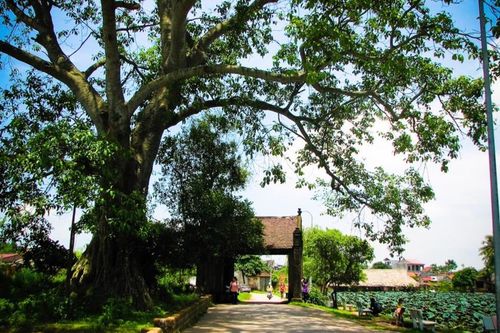 Đất lề...