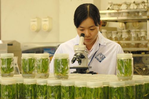 Giáo dục Đồng bằng sông Cửu Long: Vùng trũng… vươn mình