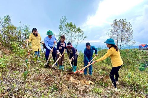 Mô hình 'Lũy tre biên thùy' ở Lai Châu: chung sức bảo vệ vững chắc chủ quyền biên giới quốc gia