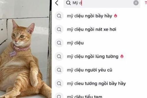 'Idol Tóp Tóp' Mỹ Diệu: Dáng ngồi 'bầy hầy' cũng khiến cõi mạng dậy sóng