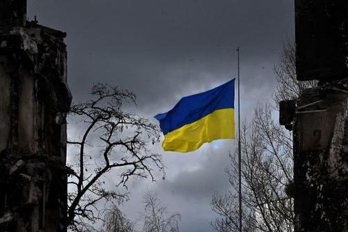 Kinh tế Ukraine: Ngành nông nghiệp được 'cứu', quan chức tự tin, 47% doanh nghiệp khôi phục hoàn toàn