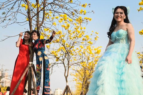 Trèo cây, leo thang để có bức ảnh đẹp với 'con đường vàng'