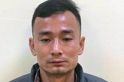 Nghi phạm giết bà nội, cô ruột ở Hà Nội do không được bán đất