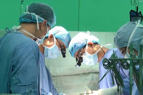 Ca bệnh thứ 2 ở Việt Nam ghi nhận có sán chó trong tim