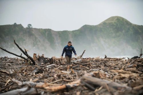 Câu hỏi nhức nhối từ cơn sốt vàng xanh ở New Zealand