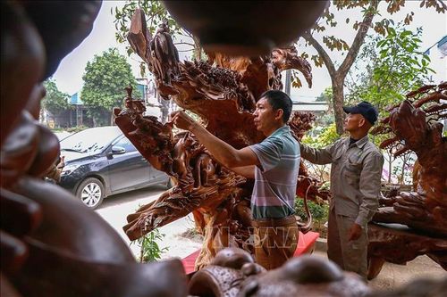 Gìn giữ và phát triển nghề chế tác gỗ lũa, đá cảnh