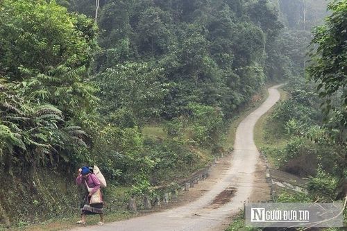 Bản nghèo 'gánh' điện giá cao, dân vướng 'lao lý' vì 72 cây gỗ tạp