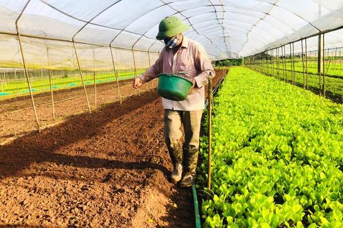 HTX 'ba chìm bảy nổi' vì đất sản xuất nông nghiệp