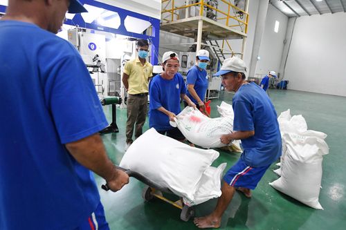 Chính sách mới: Tăng bồi dưỡng bằng hiện vật đối với người lao động
