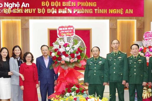 Thường trực HĐND tỉnh và Đoàn ĐBQH tỉnh chúc mừng Bộ đội Biên phòng nhân ngày truyền thống 3/3