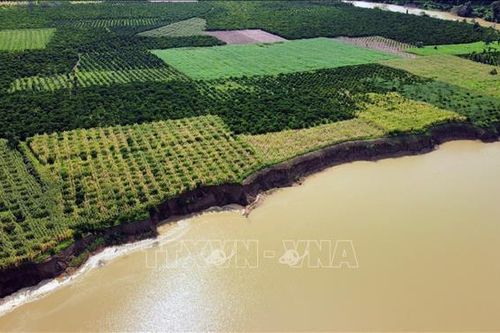Yêu cầu báo cáo về khắc phục hậu quả do vận hành thủy điện Chư Pông Krông