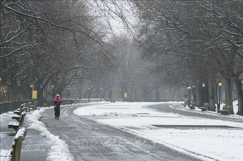 New York đón trận tuyết lớn nhất trong mùa Đông