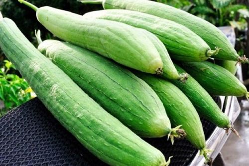 Ăn mướp theo cách này còn bổ hơn uống nhân sâm, ai cũng tiếc đứt ruột vì không biết sớm hơn
