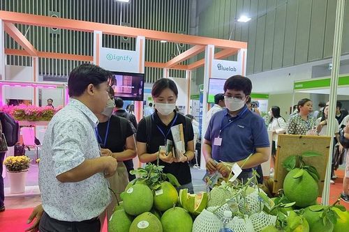 Nông sản Việt thu hút khách tham quan triển lãm HortEx Vietnam 2023