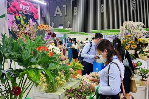 Thúc đẩy ngành rau, hoa, quả phát triển và mở rộng thị trường xuất khẩu