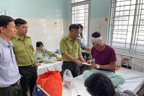 Đồng Nai: Vào rừng săn thú, chống trả lực lượng kiểm lâm