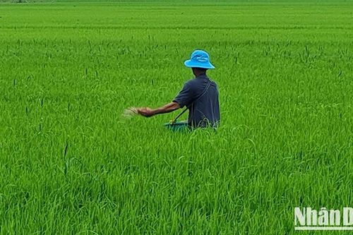 Chuyển đổi đất sản xuất kém hiệu quả ở đồng bằng sông Cửu Long