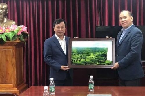 Phú Thọ thúc đẩy các dự án hợp tác với các doanh nghiệp, đối tác Quảng Đông, Trung Quốc