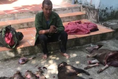 Bắt giữ 5 thợ săn dùng súng tự chế tấn công kiểm lâm