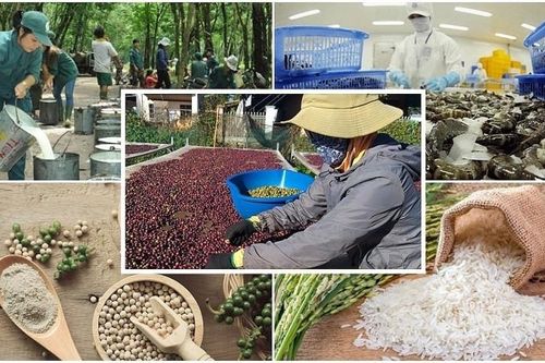 Tình hình sản xuất nông, lâm nghiệp, thủy sản tháng 2/2023