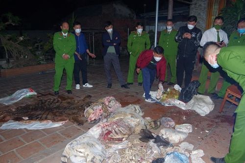 Tuyên phạt 36 tháng tù đối với nguyên Chủ tịch xã giết hổ nấu cao