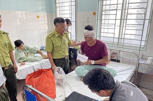 Truy bắt nhóm 'lâm tặc' đánh trọng thương 3 kiểm lâm Vườn quốc gia Cát Tiên