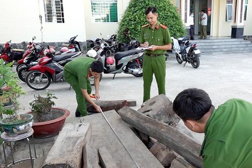 Phát hiện điểm nghi tập kết gỗ lậu quý hiếm ở biên giới