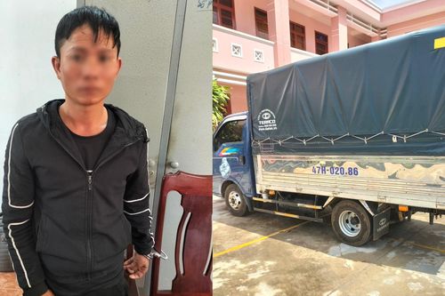 Bắt giữ đối tượng trộm trâu, bò trên địa bàn huyện Sông Hinh, Phú Yên