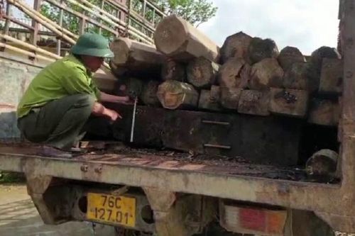 Truy đuổi xe chở gỗ lậu, kiểm lâm bị đuổi đánh nhập viện