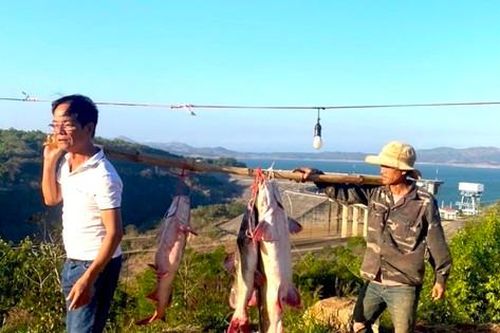 Thanh niên Ba Na bắt được cá lăng khủng, dài hơn 1,6m