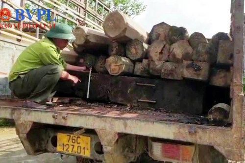 2 Kiểm lâm viên bị 'lâm tặc' đánh nhập viện