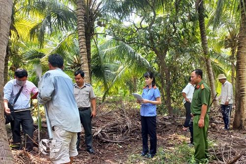 Kiểm sát việc cưỡng chế thi hành án giao quyền sử dụng đất tại huyện Càng Long