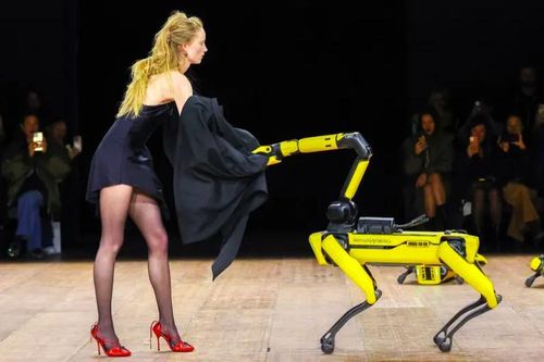 Chó robot cởi đồ người mẫu đang trình diễn trước mặt khán giả