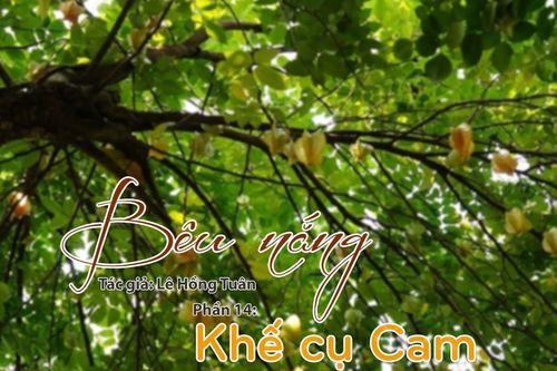 Tạp văn: Bêu nắng (Lê Hồng Tuân) - Phần 14: Khế cụ Cam