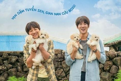 Phim hay chiếu rạp: Yoo Yeon Seok, Cha Tae Hyun tìm nhà cho 'boss cưng'