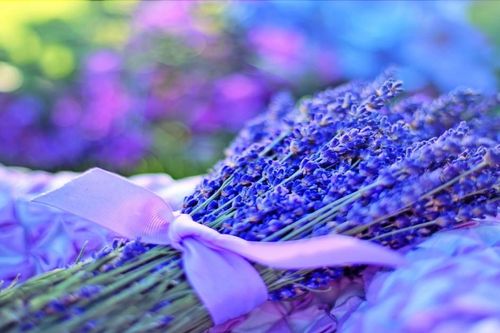 Gợi ý quà tặng ý nghĩa, lãng mạn cho người yêu dịp 8/3