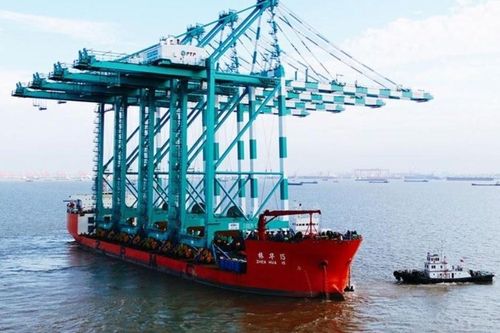 Vì sao Lầu Năm Góc cảnh báo về cần cẩu khổng lồ do Trung Quốc sản xuất