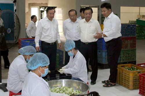 Long An chuyển đổi tư duy từ sản xuất nông nghiệp sang kinh tế nông nghiệp