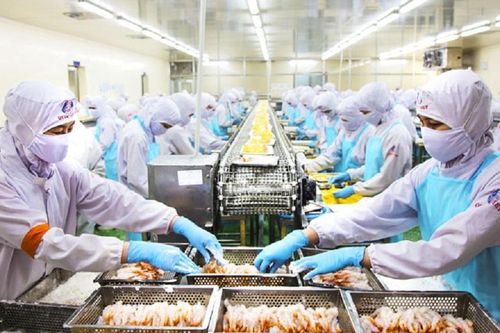 Đằng sau con số gần 52 nghìn doanh nghiệp ngừng hoạt động
