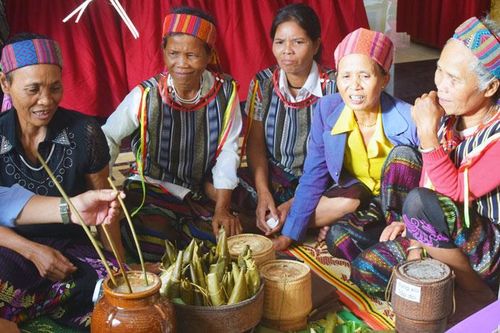 Lễ hội mừng cơm mới của người Bru-Vân Kiều là Di sản văn hóa phi vật thể quốc gia