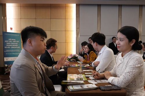 Kết nối giao thương doanh nghiệp Hà Nội-Singapore