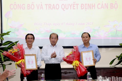 Đồng Tháp trao quyết định về công tác cán bộ