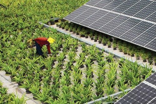 Phân tích tiềm năng điện mặt trời ở Indonesia