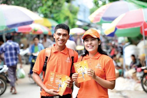 Doanh nghiệp số Việt ra nước ngoài: Câu chuyện của những 'cánh chim đầu đàn'