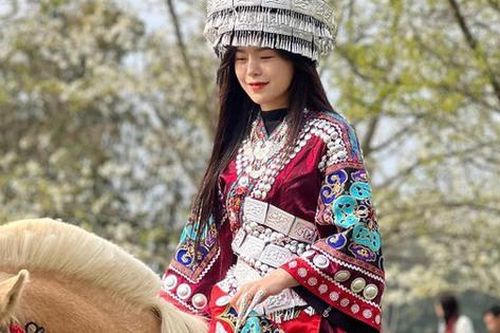 Choáng ngợp trước chốn bồng lai ngập tràn hoa Lê trắng muốt cả rừng ở Na Hang - Tuyên Quang