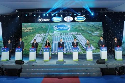 Việt Nam 'bắt tay' Nhật Bản làm tổ hợp chế biến thịt bò 500 triệu USD
